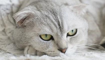 KAIYUN体育-华体会华体会hth——畅享精彩体育生活的新选择